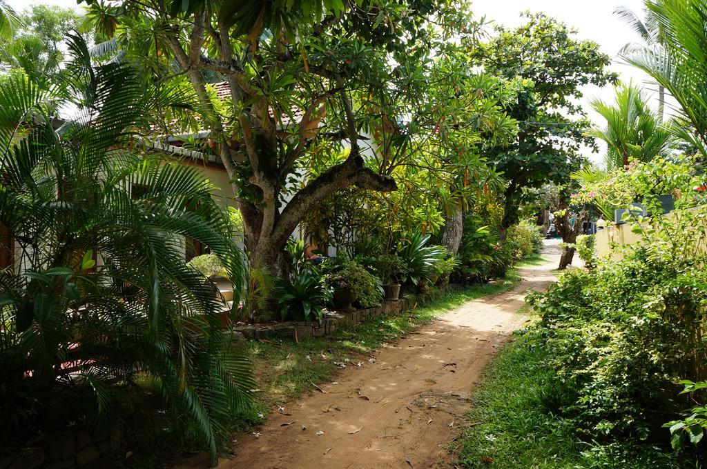 Tandem Guesthouse Hikkaduwa Exterior foto