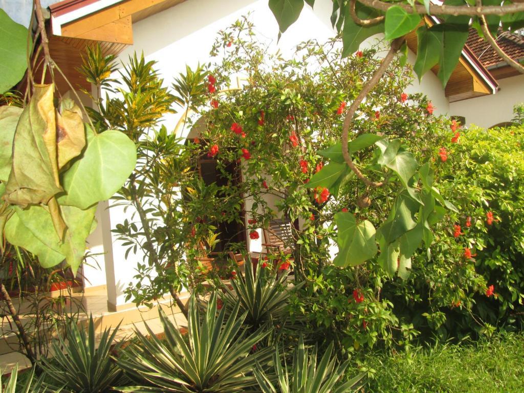 Tandem Guesthouse Hikkaduwa Exterior foto